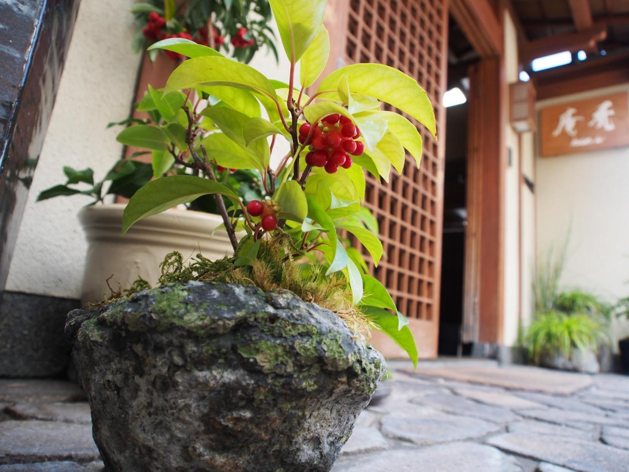 Kamuroan, Kyoto