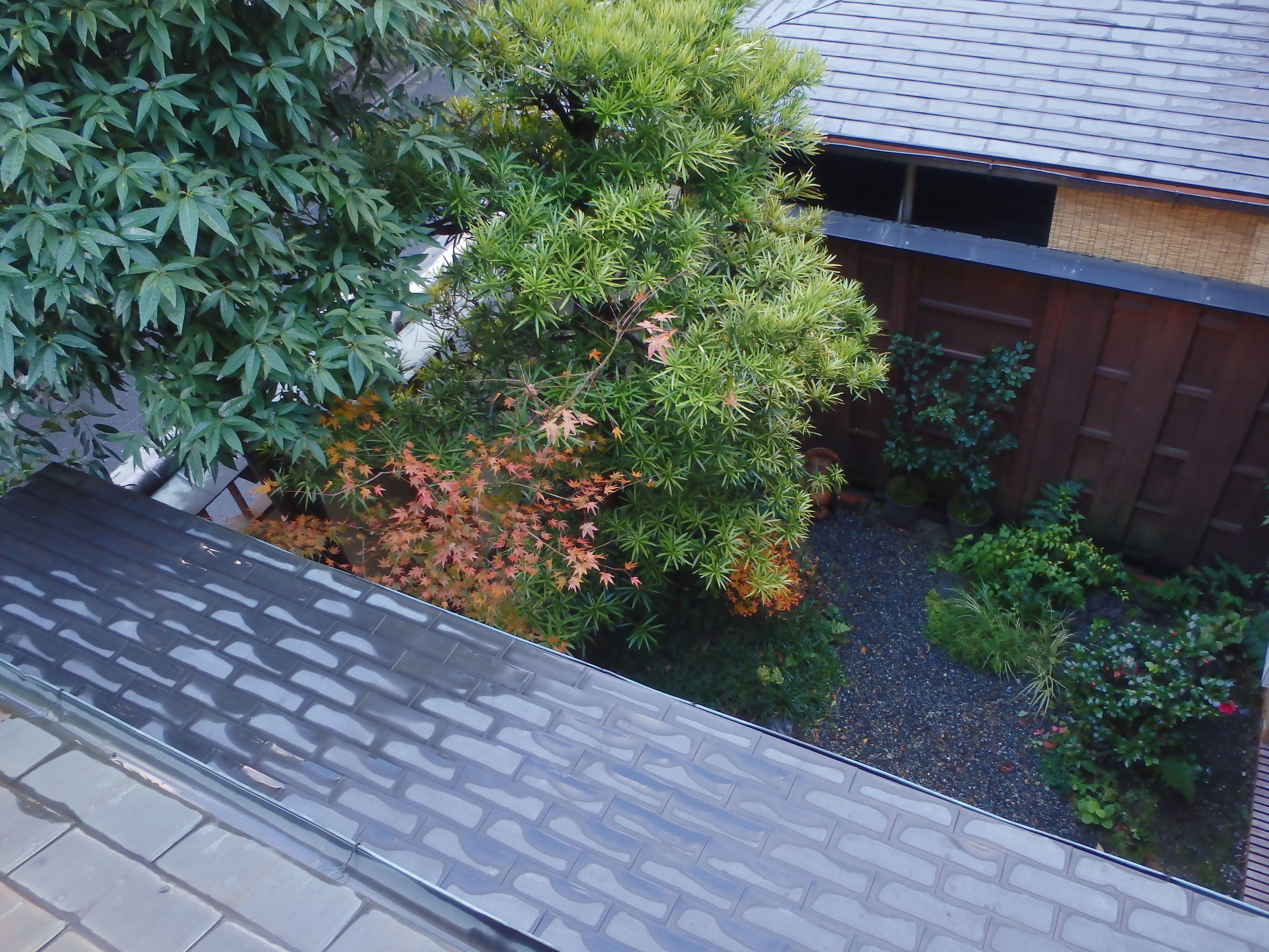 Kamuroan — Photos 2